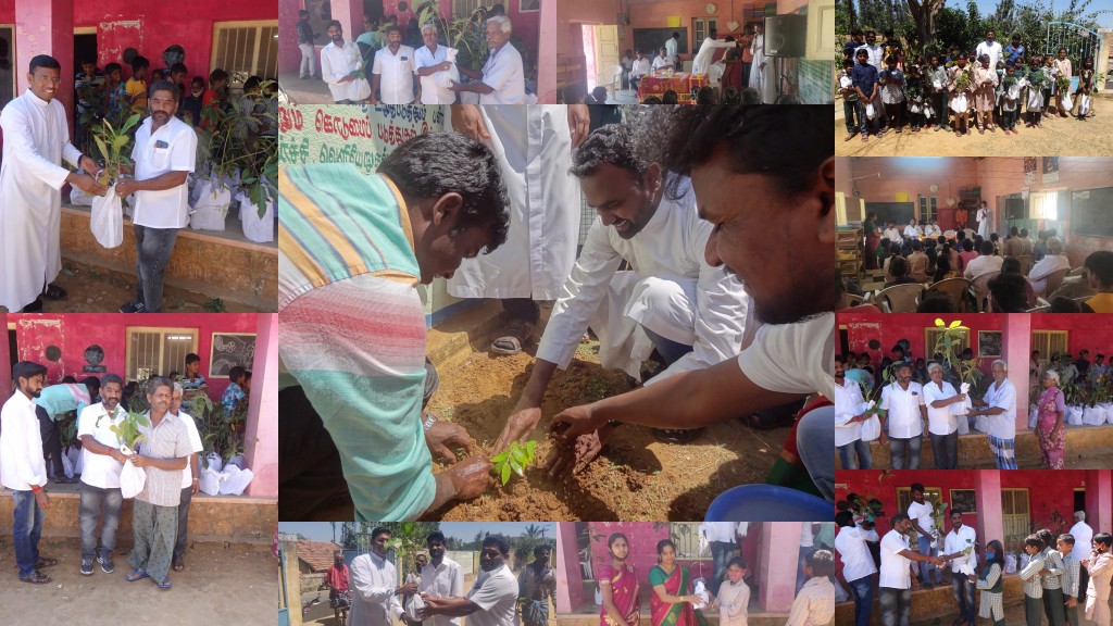 sengaadu-tree-plantation