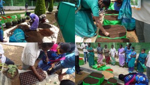 organic-kitchen-garden-training-2021-april
