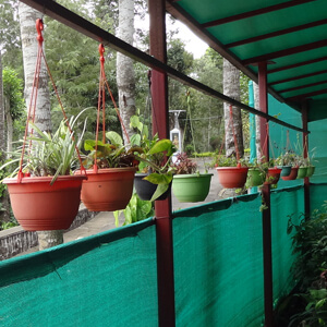 REO Nursery Hanging Pots
