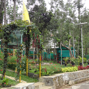 REO Nursery New Entrance