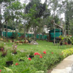 Reo Nursery Cactus Shed