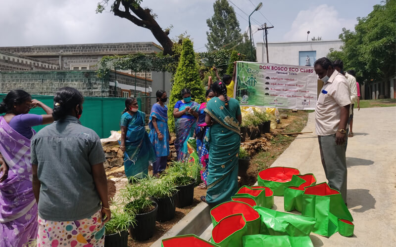 Organic Kitchen Garden Training Session