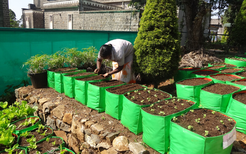 Seedlings Training For The Beneficiaries