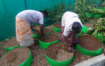 Trainees Sowing The Seeds